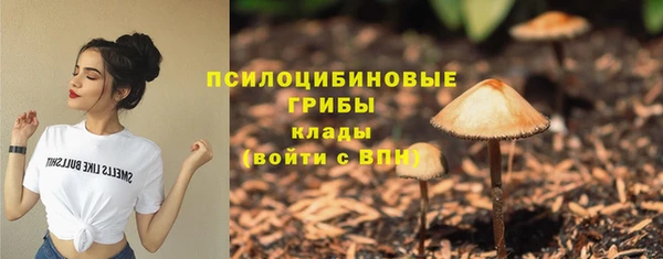 амф Бугульма