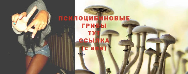 2c-b Бородино