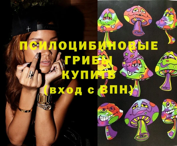 прущий лед Бронницы