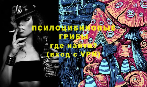 2c-b Бородино