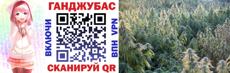Шишки марихуана сатива  Архангельск 